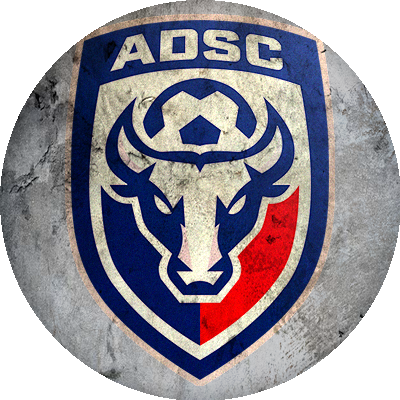 Logo AD San Carlos